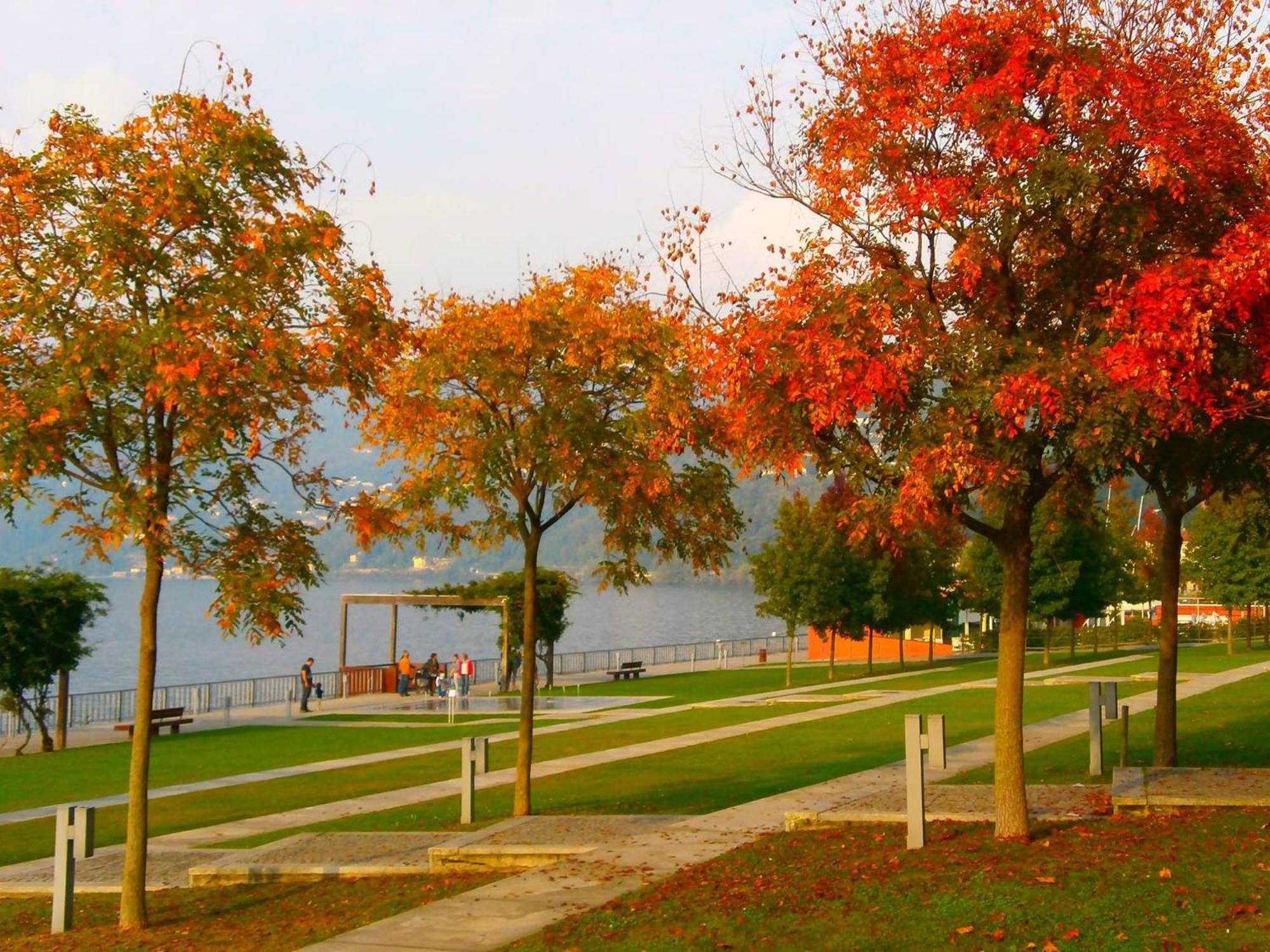 Lago Maggiore Holiday House, Lake View, Vignone Dumenza Εξωτερικό φωτογραφία
