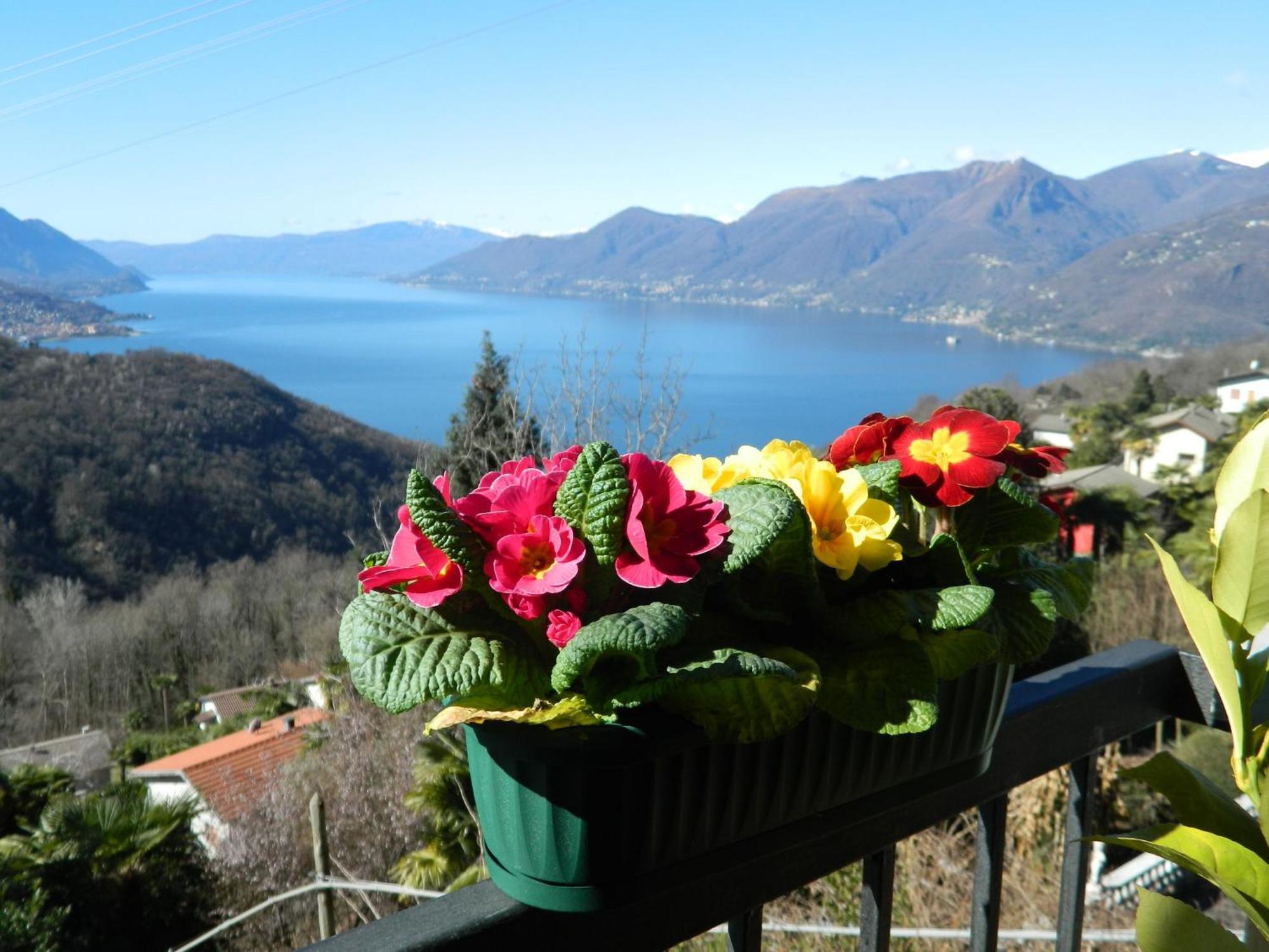 Lago Maggiore Holiday House, Lake View, Vignone Dumenza Εξωτερικό φωτογραφία